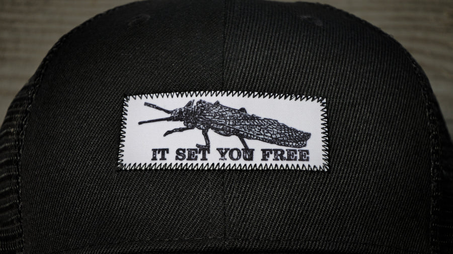 STONEFLY, FLY FISHING HAT, FISHING CAP, FLY FISHING TRUCKER, LUCKY HAT, MESH BACK, SPECIAL, UNIQUE, ONE OF A KIND, FLY FISHING HAT FOR MEN, AMERICAN FLAG, AMERICA, FIST, RAISED FIST, STAND UP, IT SET YOU FREE OUTDOORS
